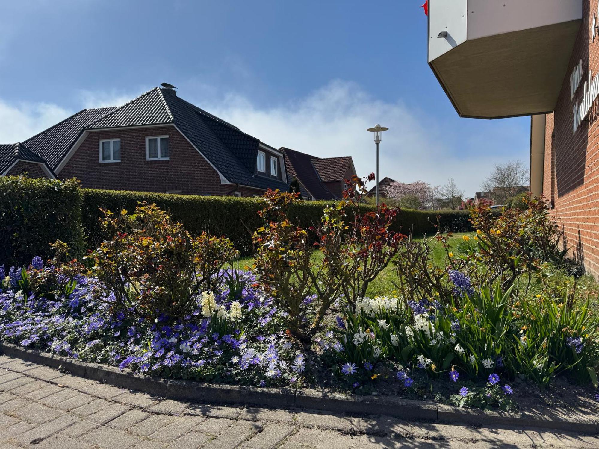 בוסום Haus Nordstrand חדר תמונה