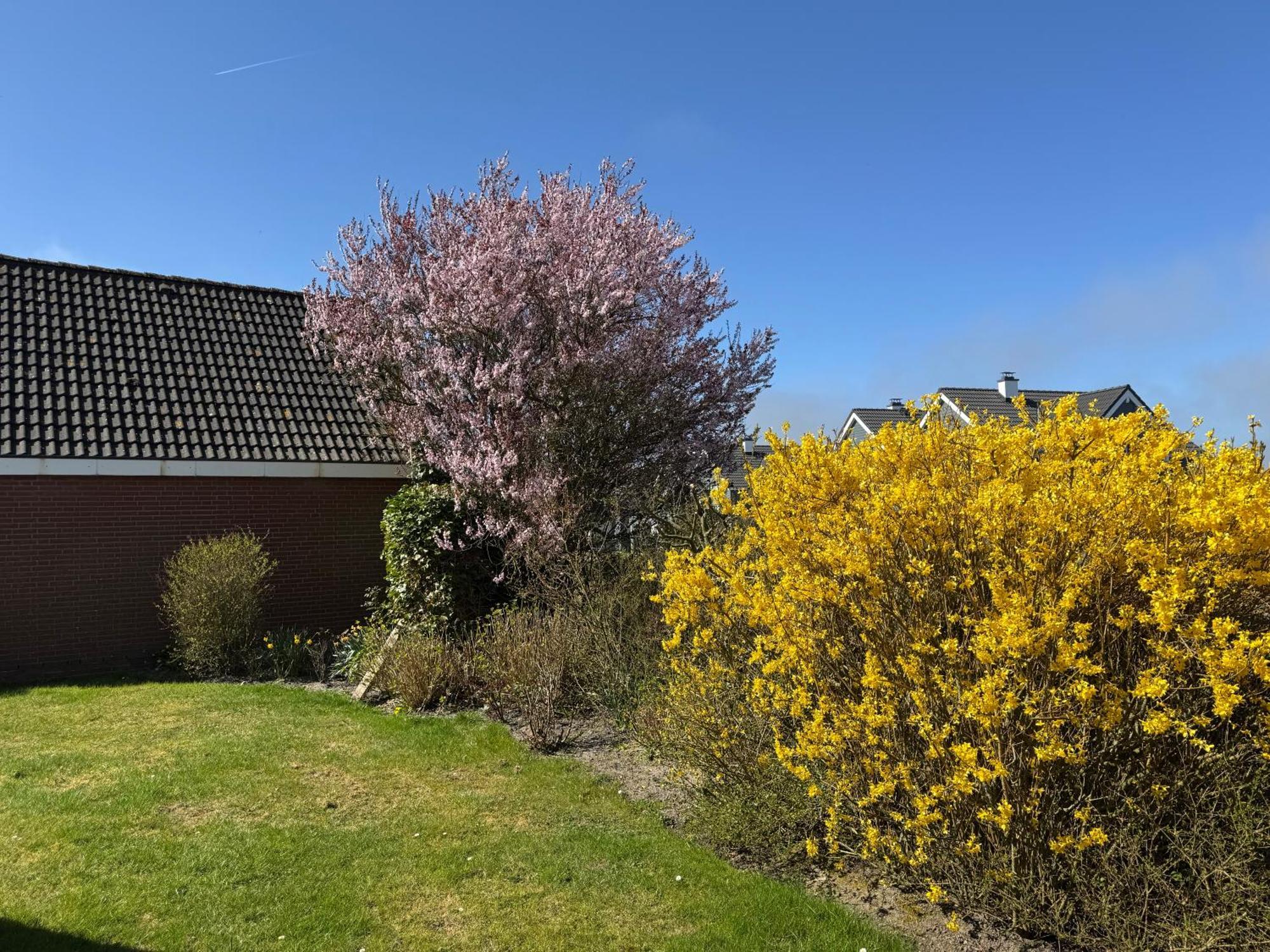 בוסום Haus Nordstrand חדר תמונה