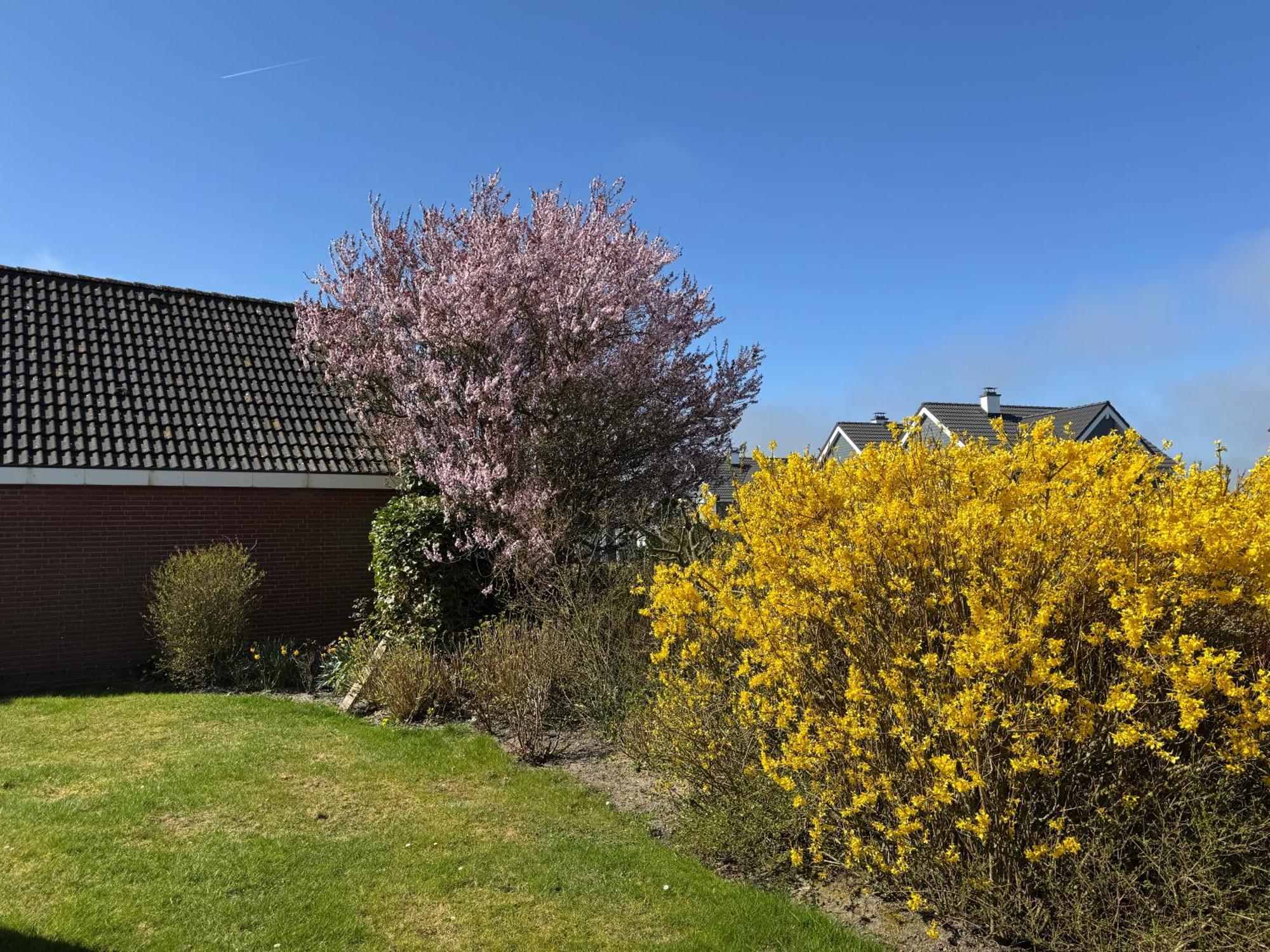 בוסום Haus Nordstrand מראה חיצוני תמונה